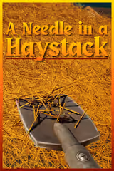 A Needle In a Haystack