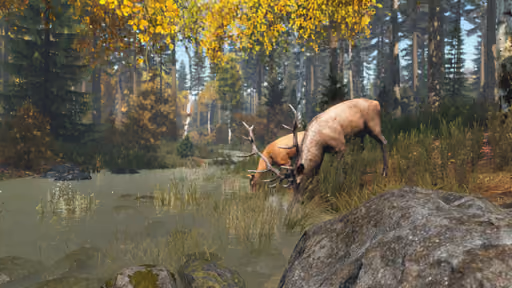 DayZ screenshot 6