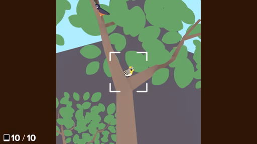 Flock Around screenshot 2